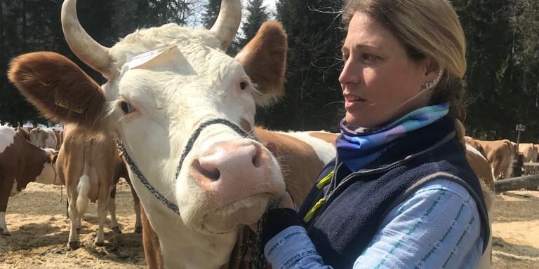 SUSI Losli MIT KUH f4aa34ac-a19c-4bbf-8eab-cdc8ab2b19c3 Country Cycling